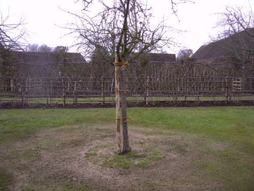 [PICT0015.JPG]