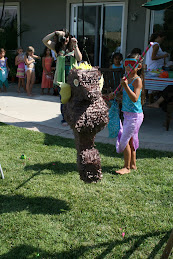 sea horse pinata