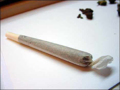 the biggest spliff