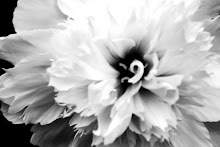 Peony in Love