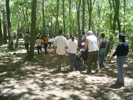 APRENDIENDO Y DISFRUTANDO DEL BOSQUE