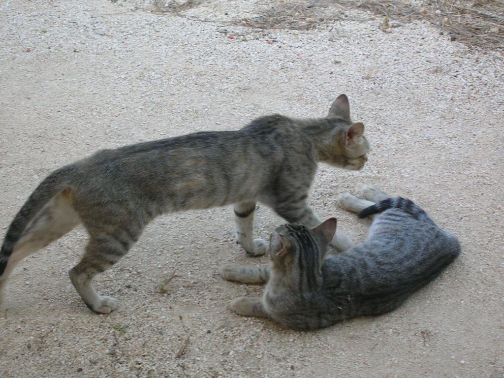 [20080828_3484.JPG]