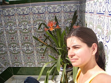 Mi foto