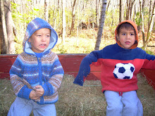 Hayride at Hidden Hollow Farm