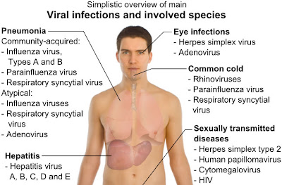 Long distance signals protect brain from viral infections