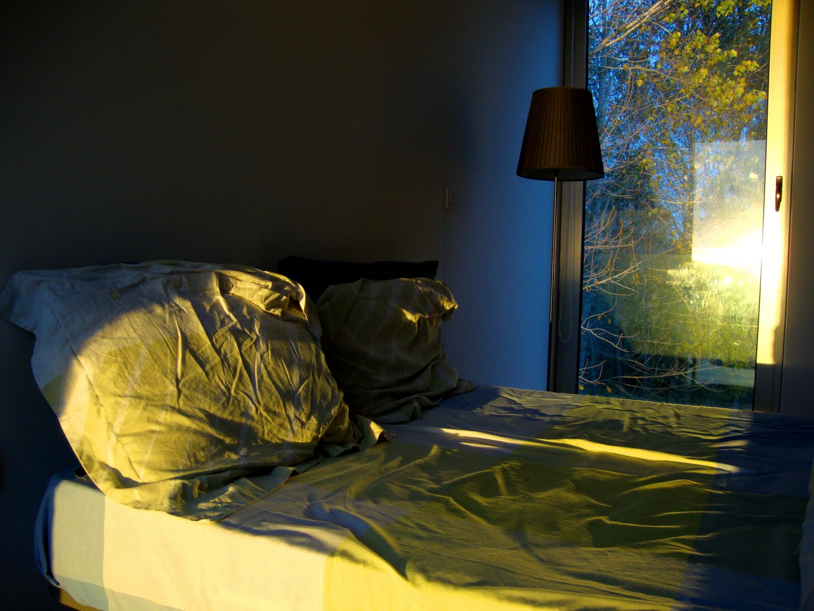 [DSC05577.JPG]