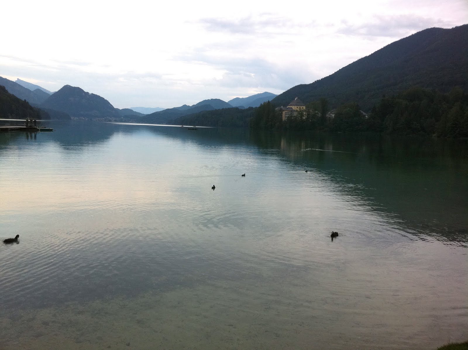 Julia Walters Radlblog