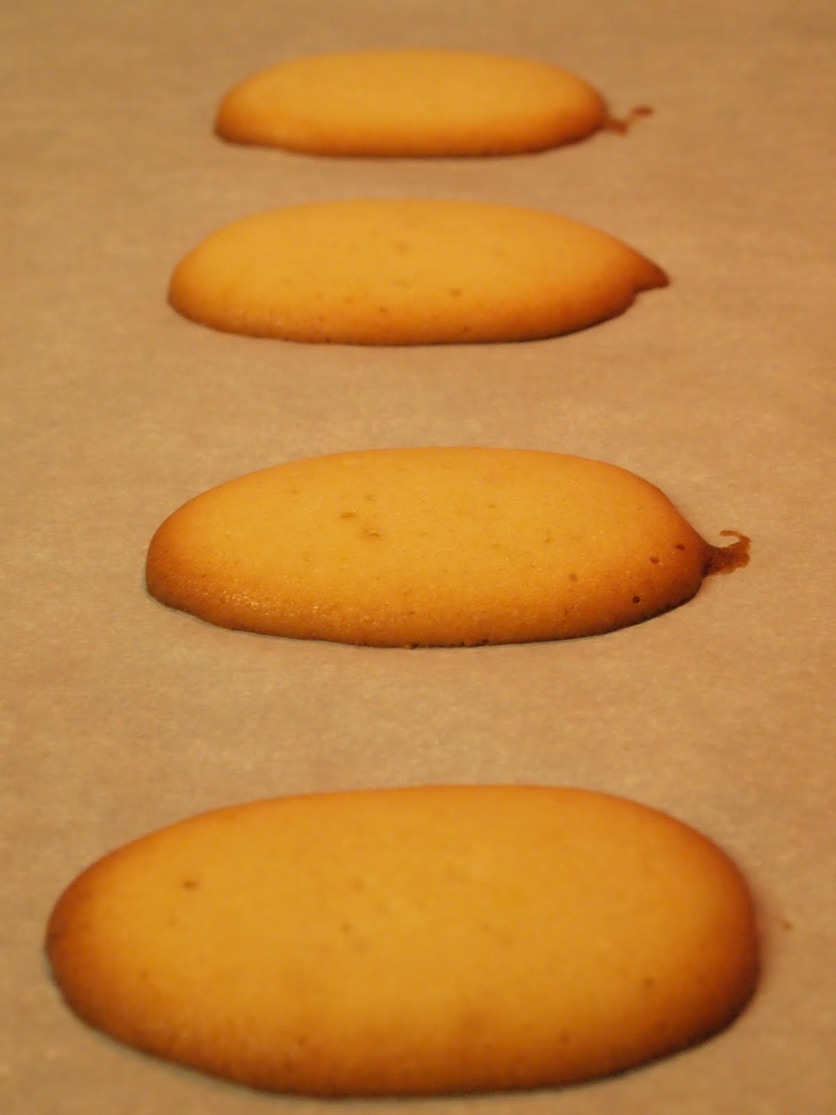 All Baked Things! Cat's Tongue Cookies