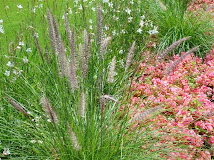 Jardín  de montaña