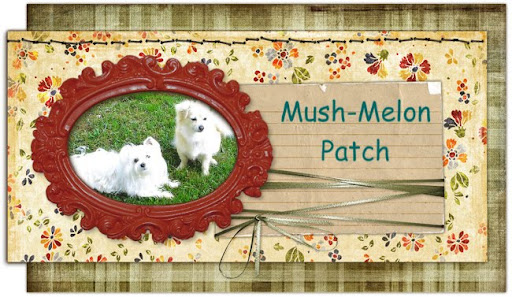 Mush-Melon Patch
