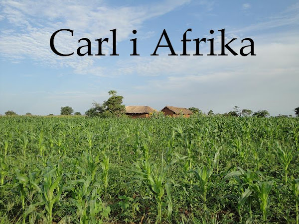 Carl i Afrika