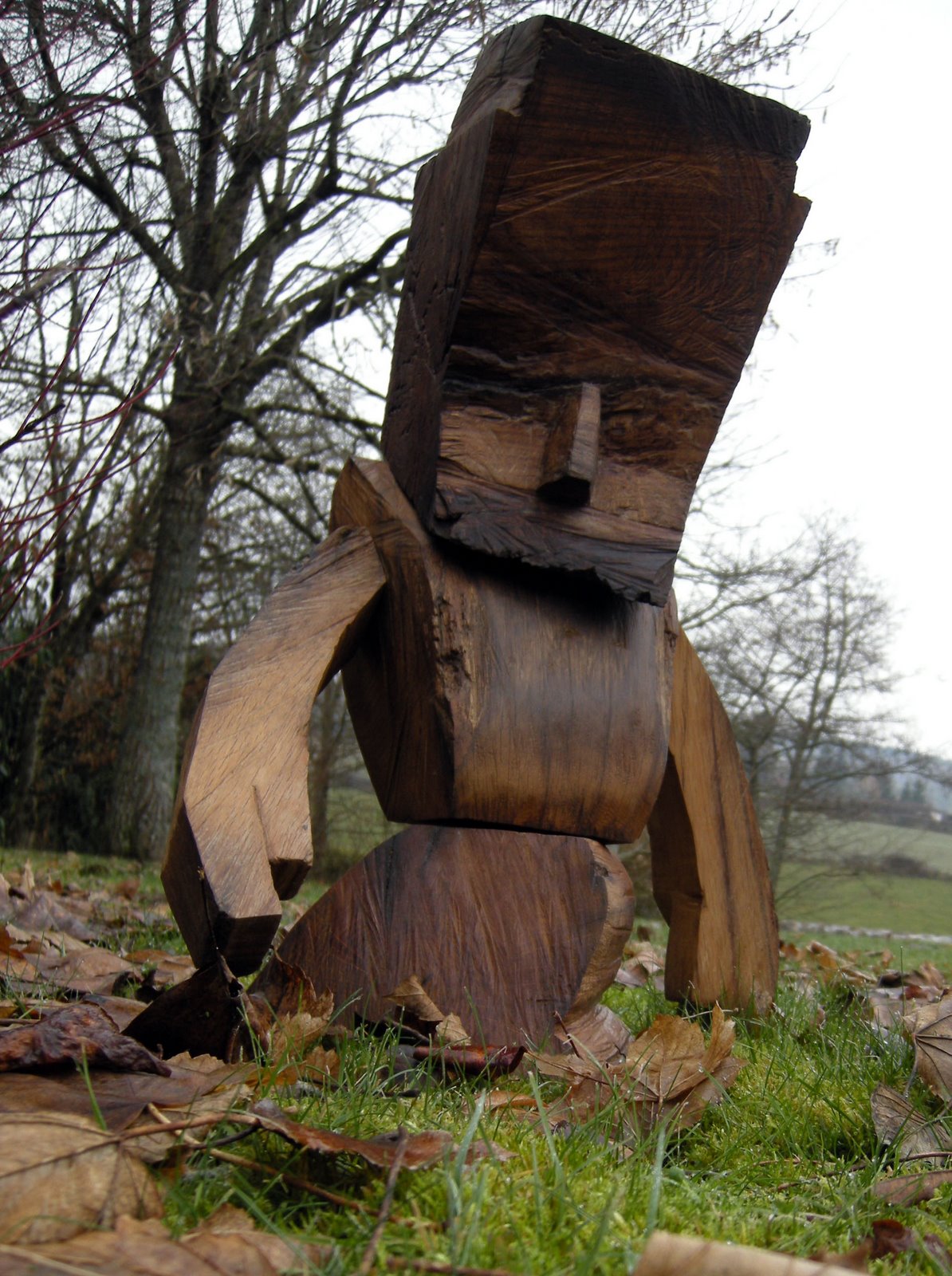 [WOODENARO2.jpg]