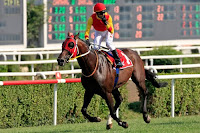 2010 Başbakanlık,59. başbakanlık koşusu