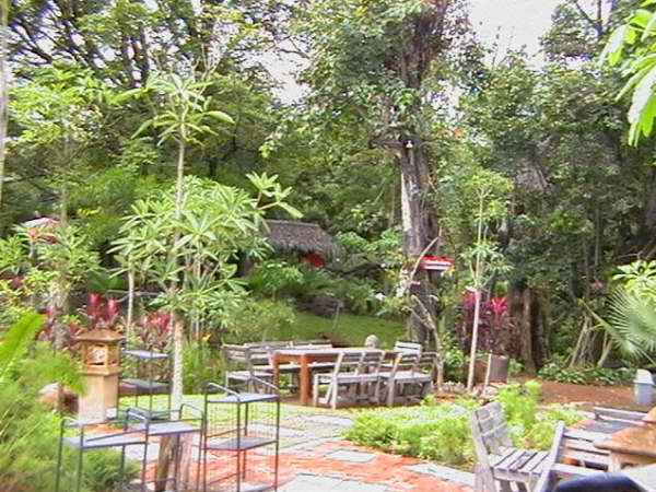 [=?windows-874?B?os254aHouTM4OC5qcGd=?=-715686]