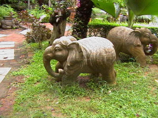 [=?windows-874?B?os254aHouTQwMi5qcGd=?=-726221]