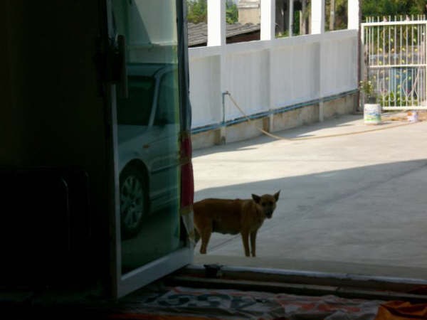 [=?windows-874?B?tNnOx6eo2OnCuunSuaTYs+G76acgMjQuanBn?=-769015]