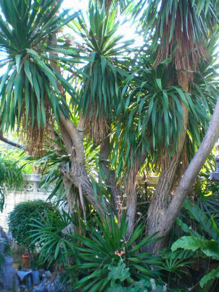 [=?windows-874?B?y8XHp77D0LrSpzE2LmpwZw==?=-782371]