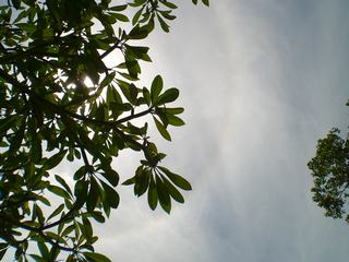 [=?windows-874?B?vti3uNLA1ODJoSAgodSoocPDwTg1OS5qcGd=?=-761526]