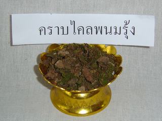 [=?windows-874?B?vti3uNLA1ODJoSAgodSoocPDwTIyOTMuanBn?=-760045]