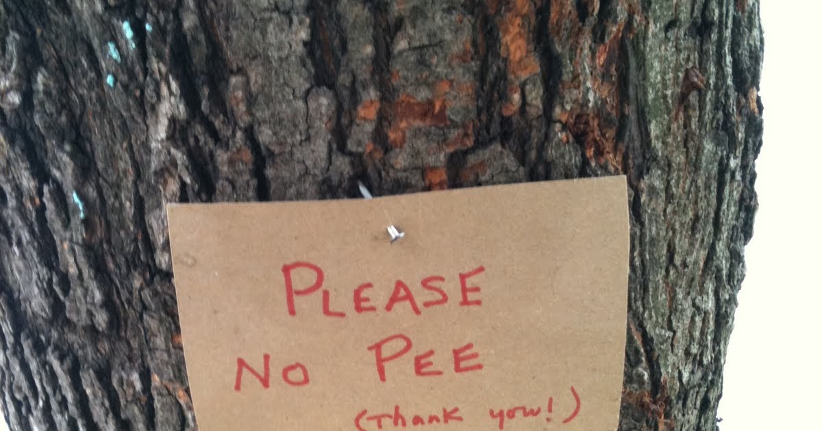 Scenes From Philadelphia No Pee Tree