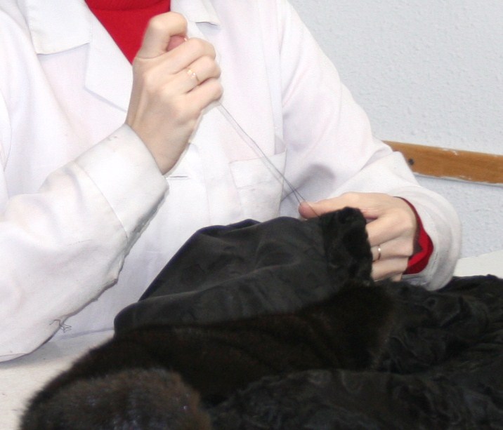 [coser.JPG]