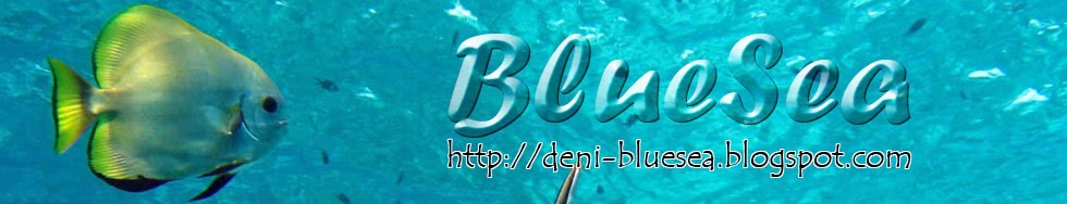 :: BlueSea ::
