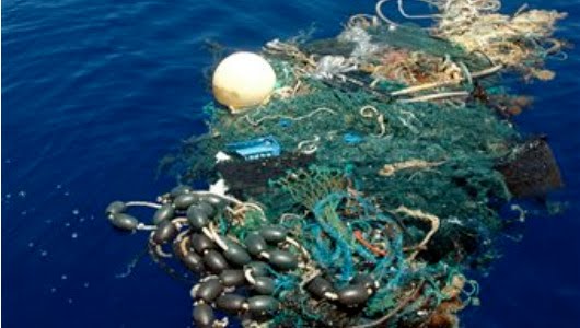 Floating Rubbish Pacific