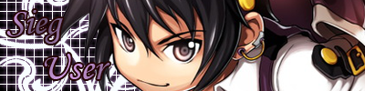 Sieguser.png