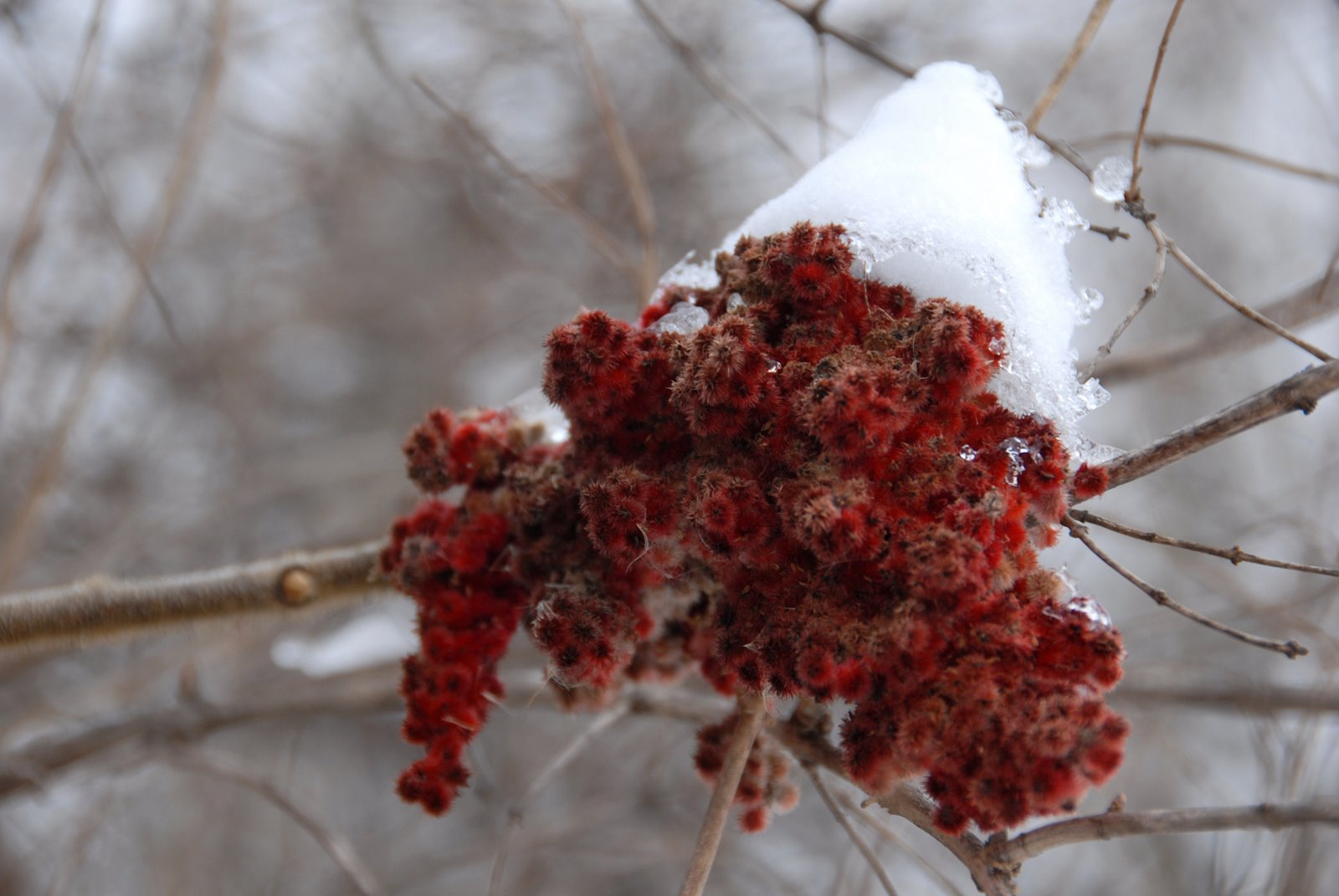 [DSC_0169.JPG]