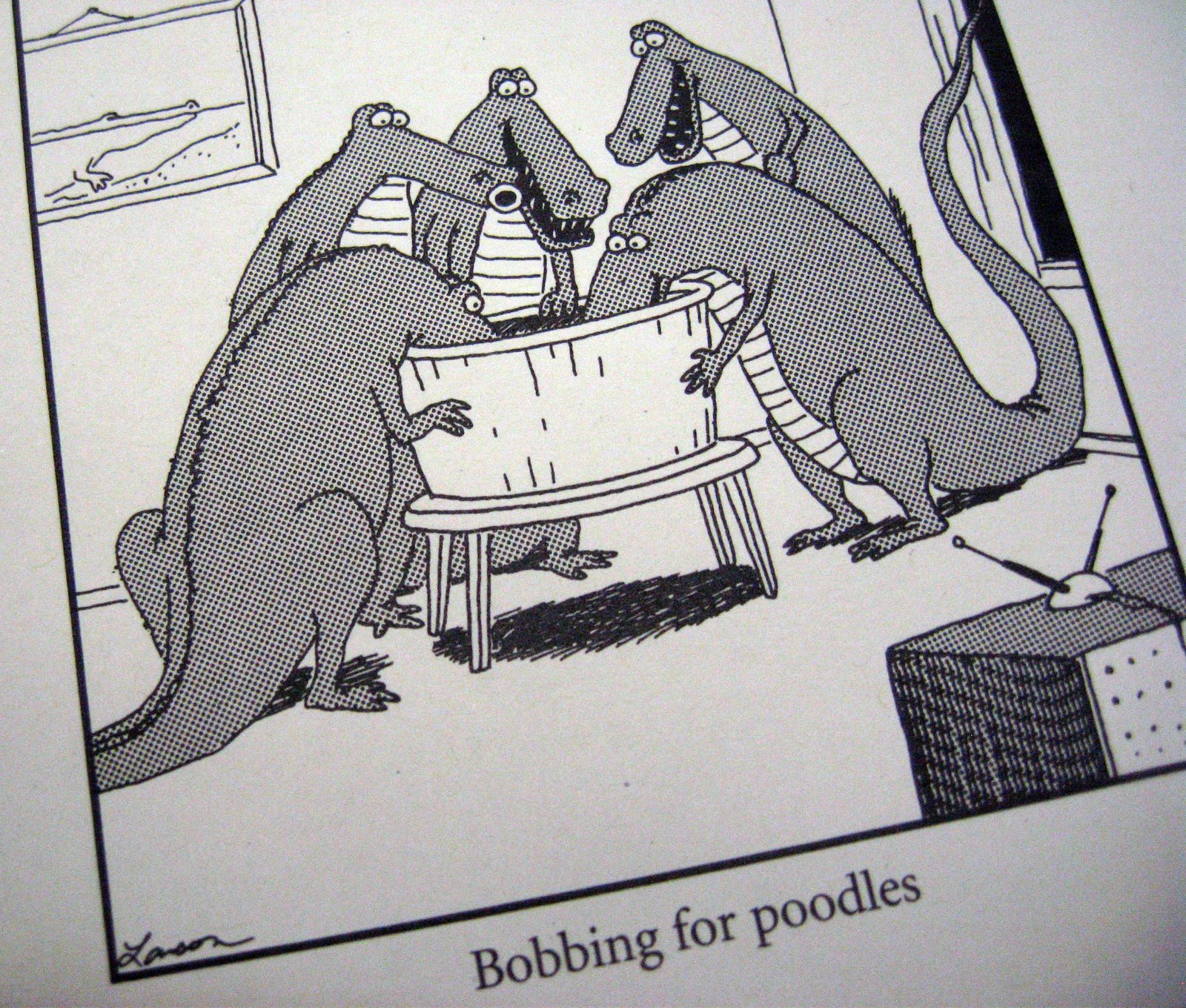 [poodles.jpg]