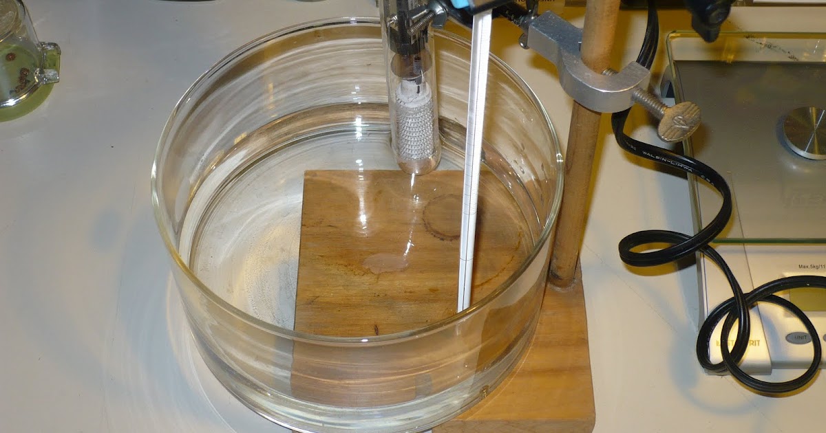 Citizen of Science Water Bath