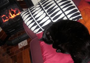 Licorice