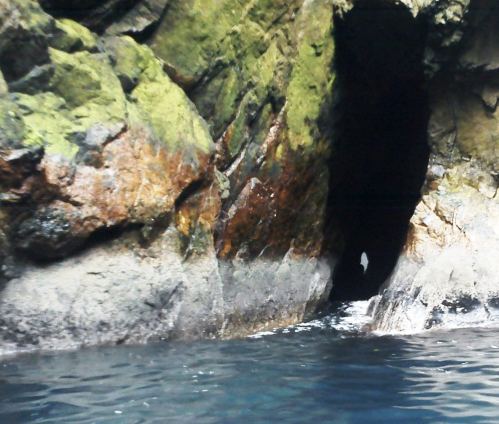 Moder-Dye: A kayak along the south coast of Muckle Roe