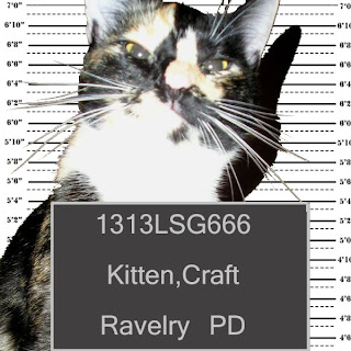 Kitty Mug Shot