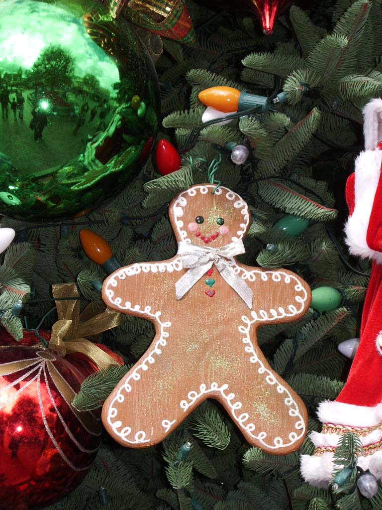 [gingerbread-man.jpg]