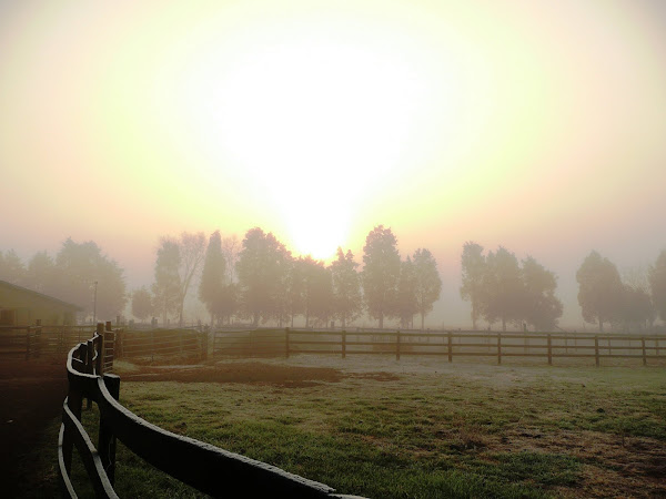 Sun Rise on the Farm