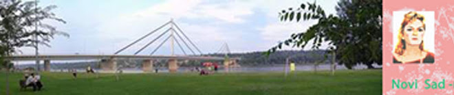 panorama mosta "Slobode" u Novom Sadu
