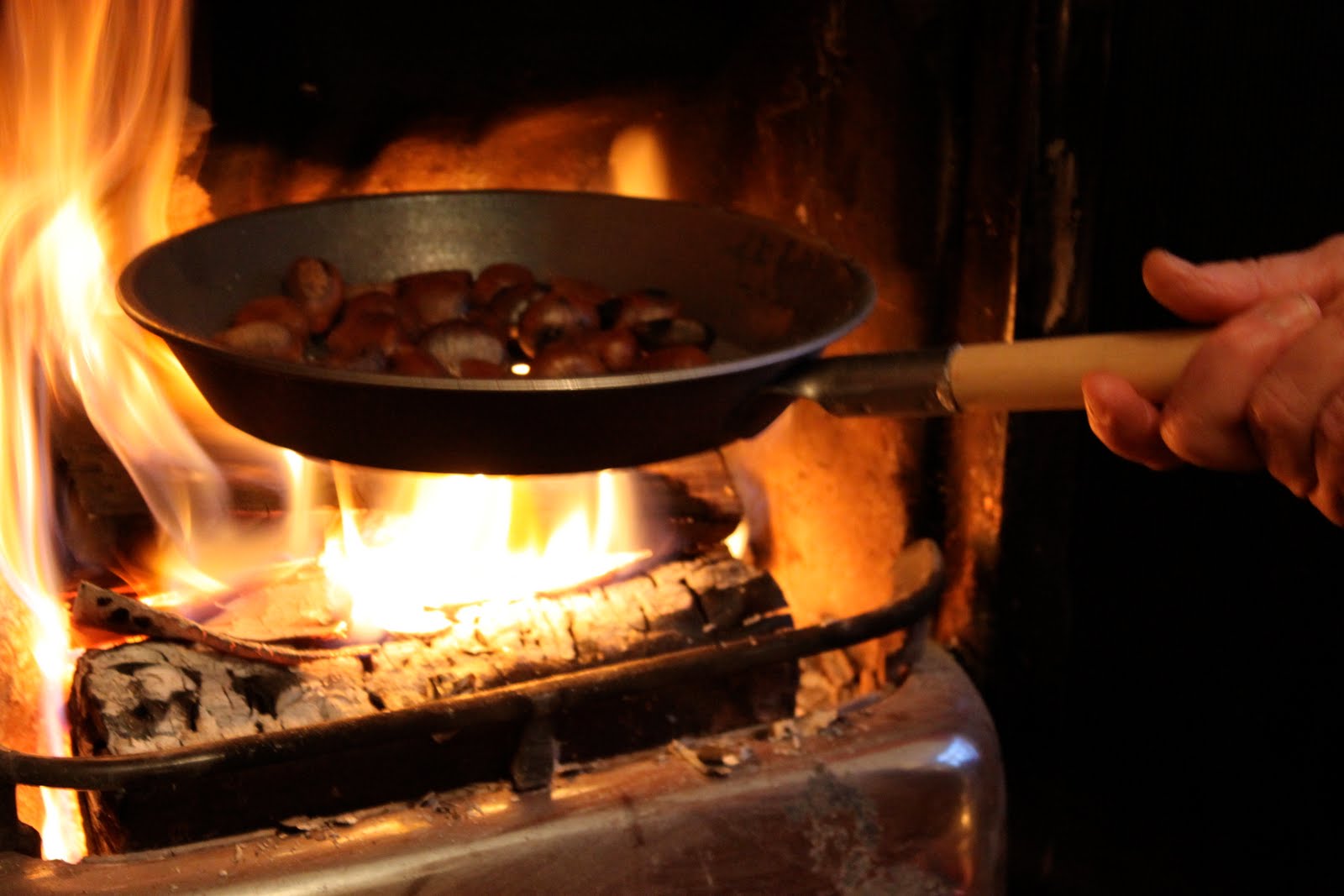[roasting+chestnuts.JPG]