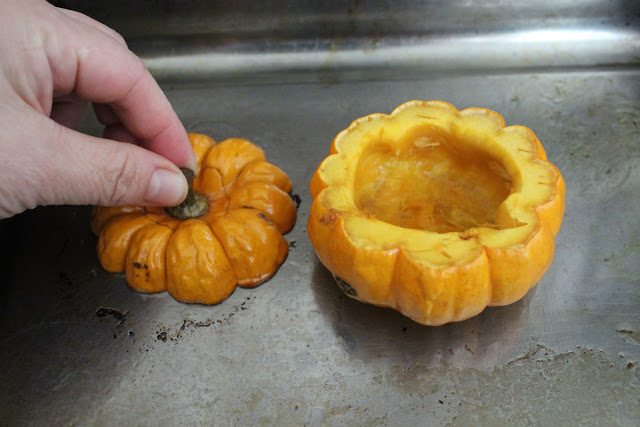 munchkin pumpkins