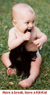 cat attacking baby