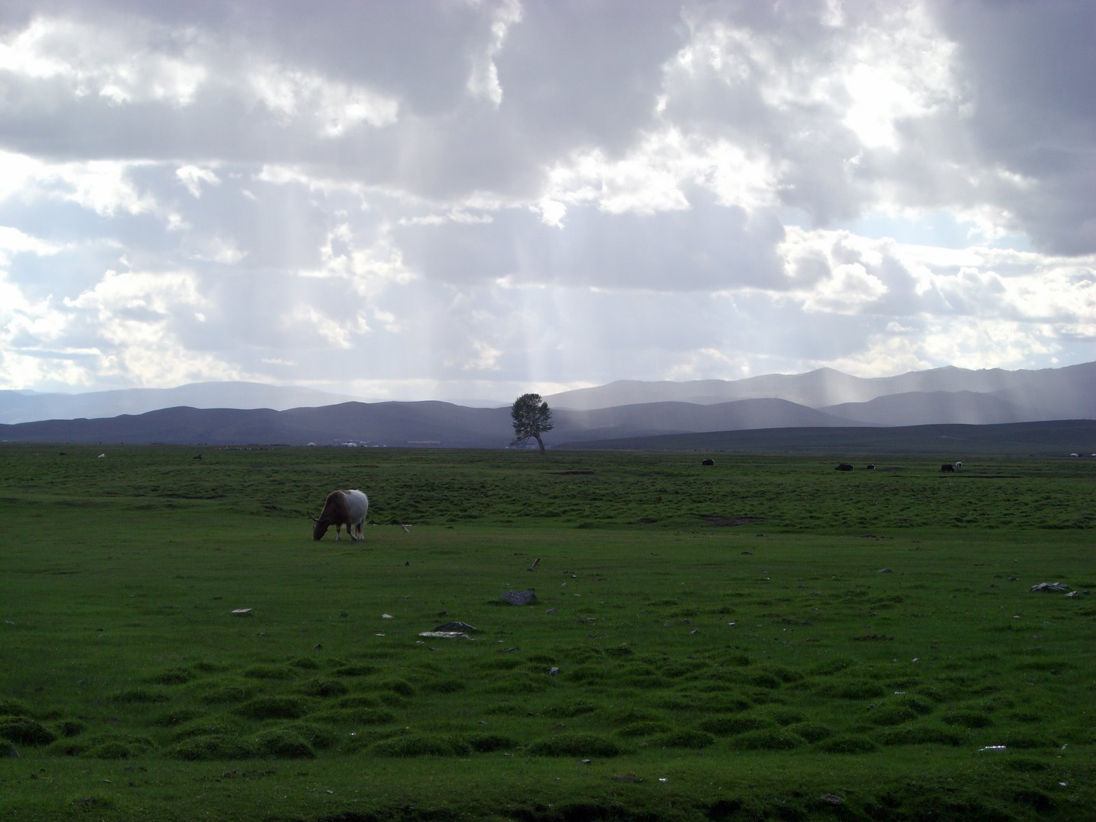 [CIMG0407.JPG]