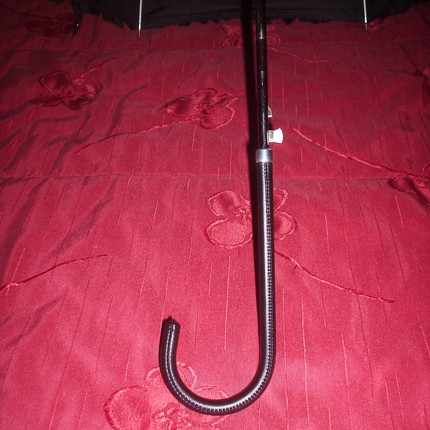 [Pormenor+manípulo.JPG]