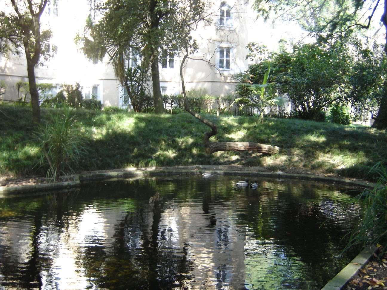 [Jardim+Botânico+-+Lake.JPG]