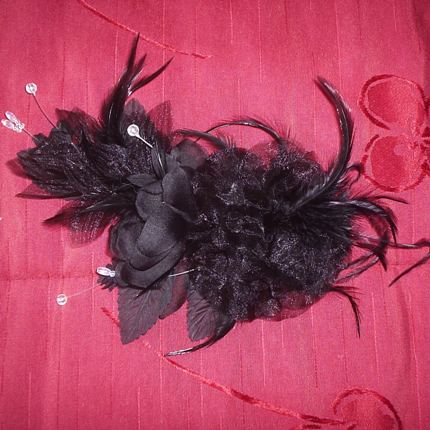 [Fascinator.JPG]