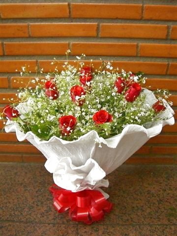 [003g.jpg]