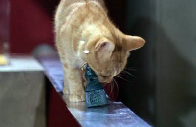 Recursive cats