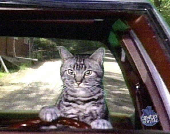 Cat of the Geek #28: Toonces the Driving Cat.