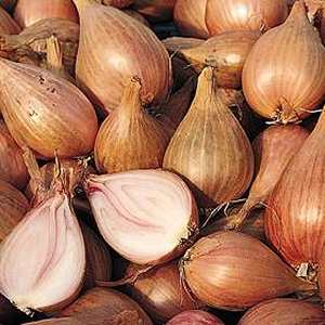 brown shallots