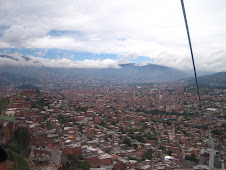 Medellin, stone jungle