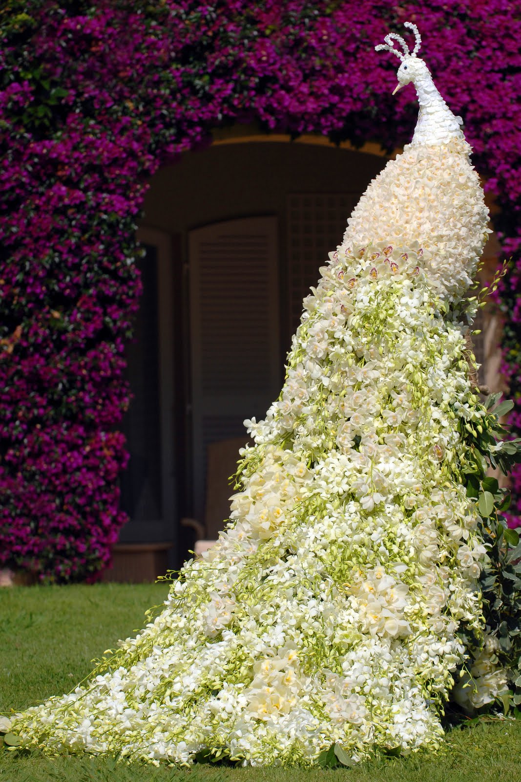 Preston Bailey Peacock Floral Design